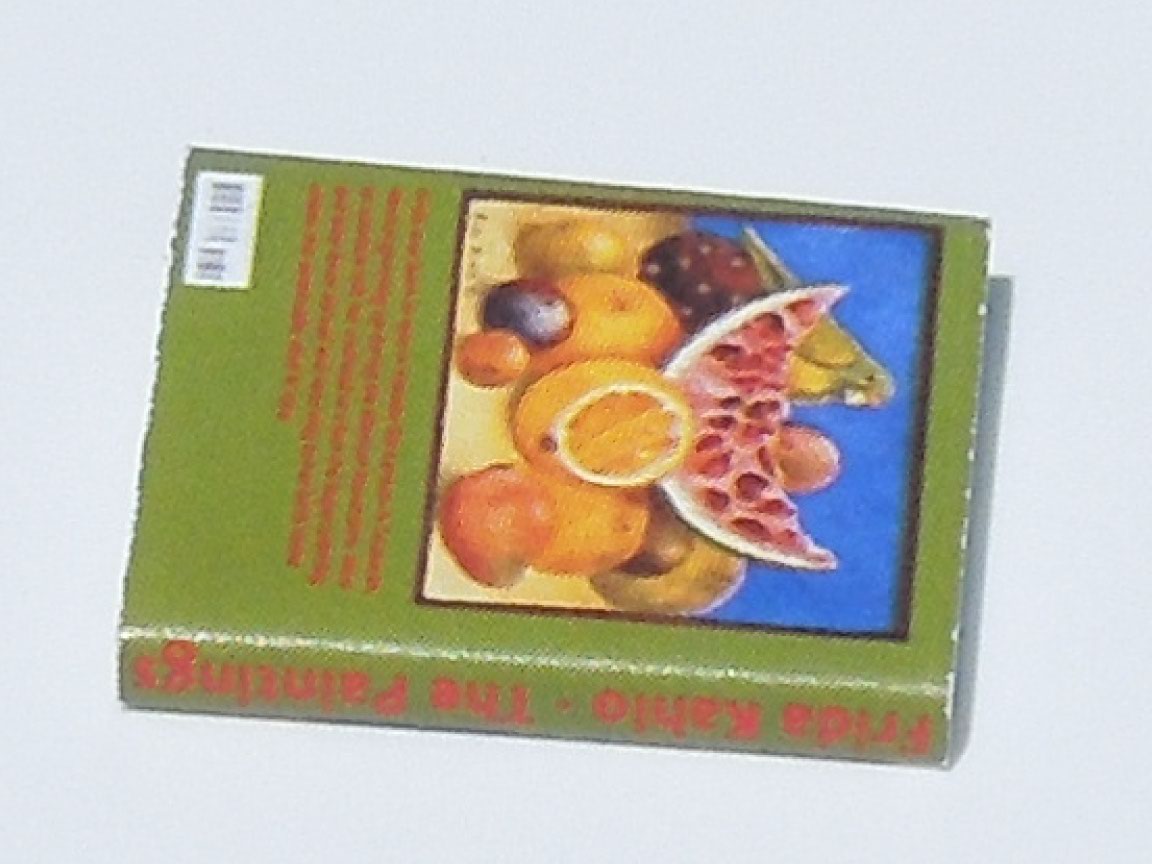 Frida Kahlo Book
