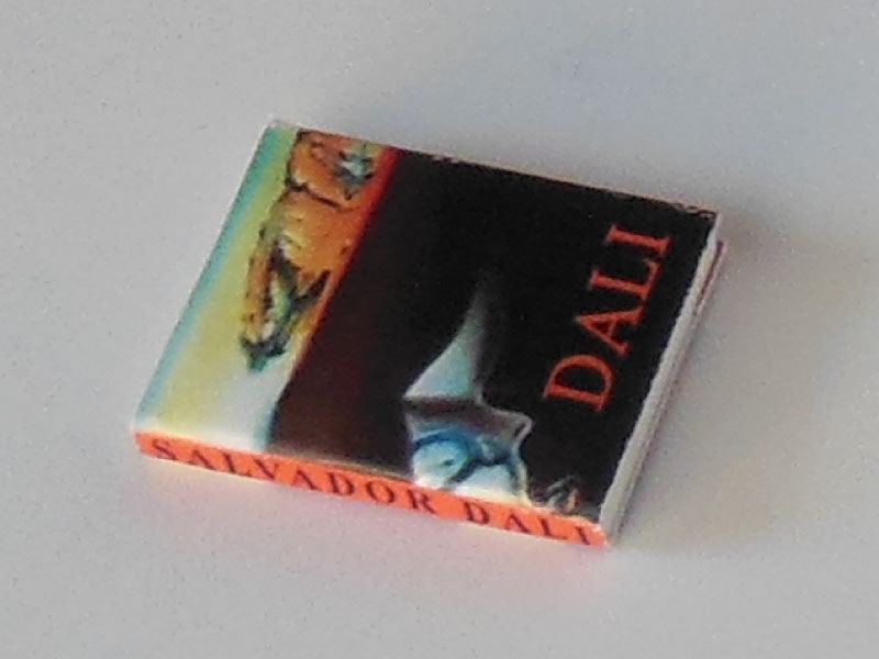 Salvador Dali Book