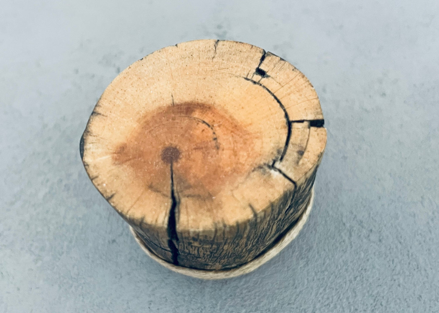Wood Stump Accent Table with Twine Trim