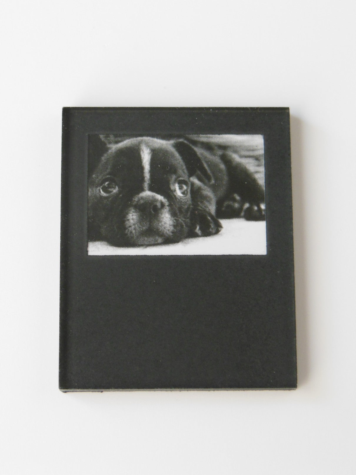 Frameless Puppy Print