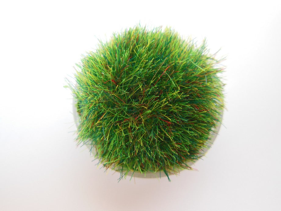 Clear Round Lucite Tray with Wheat Grass