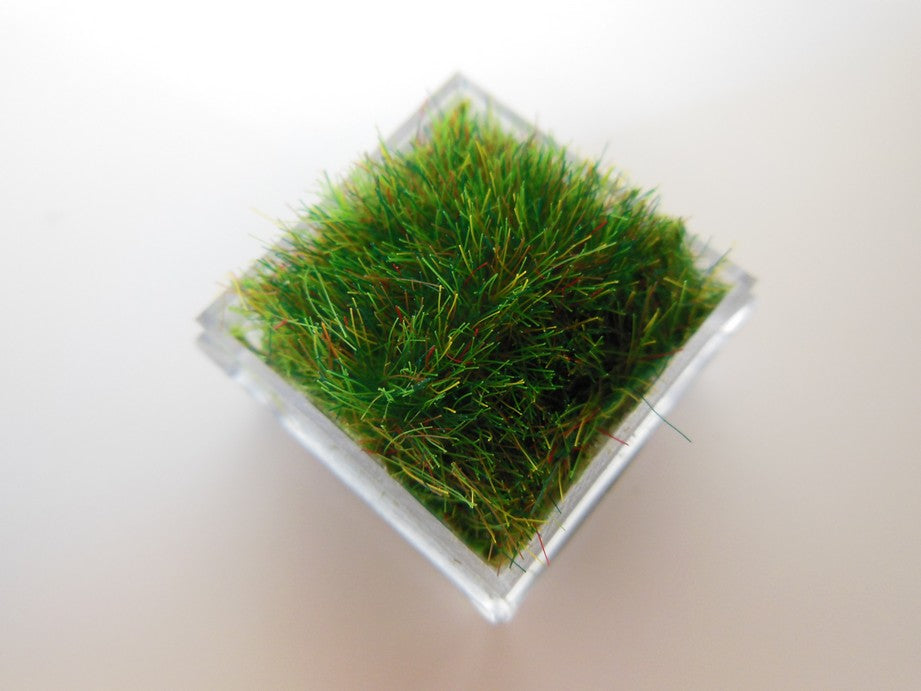 Clear Tall Square Lucite Tray with Wheat Grass