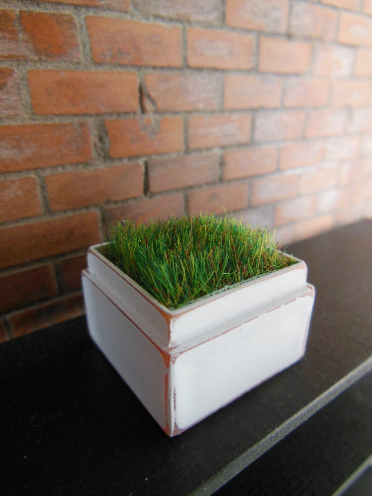 Tall Square Vintage White Tray with Wheat Grass