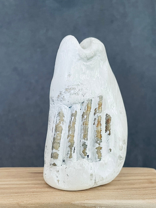 Tall White Vase with Shell Detail