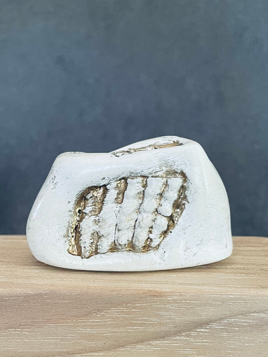 Medium White Vase with Shell Detail Gold Accent