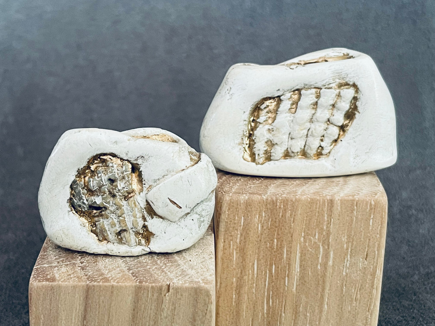 Small White Vase with Shell Detail Gold Accent