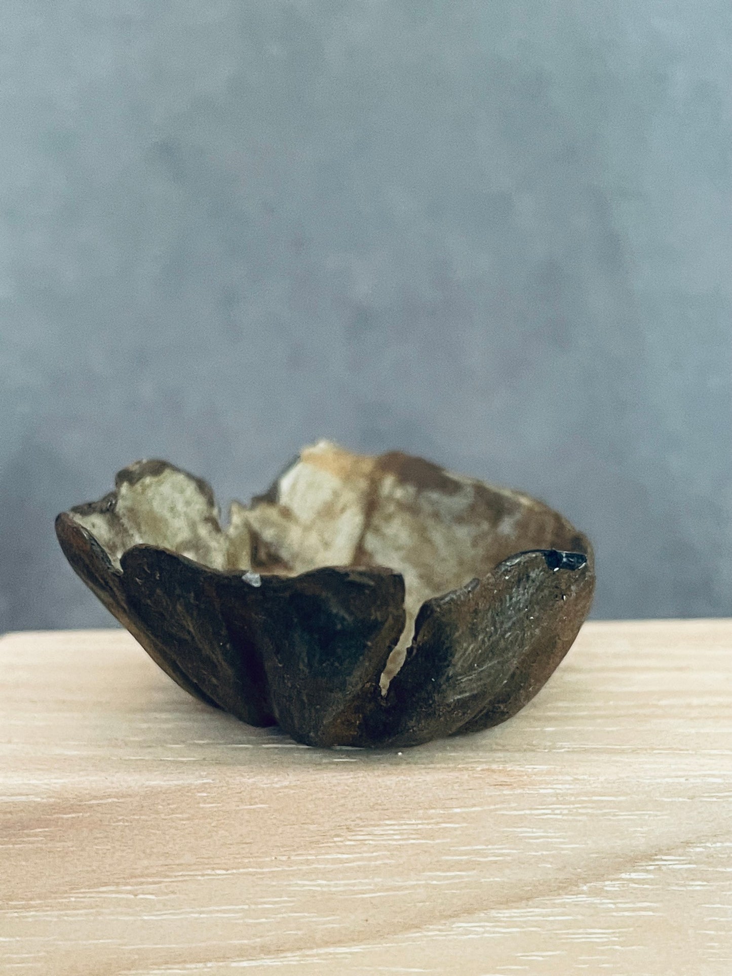 Canyon Open Bowl with Fold Detail