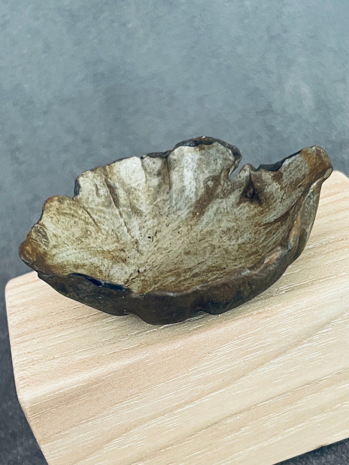 Canyon Open Bowl with Fold Detail