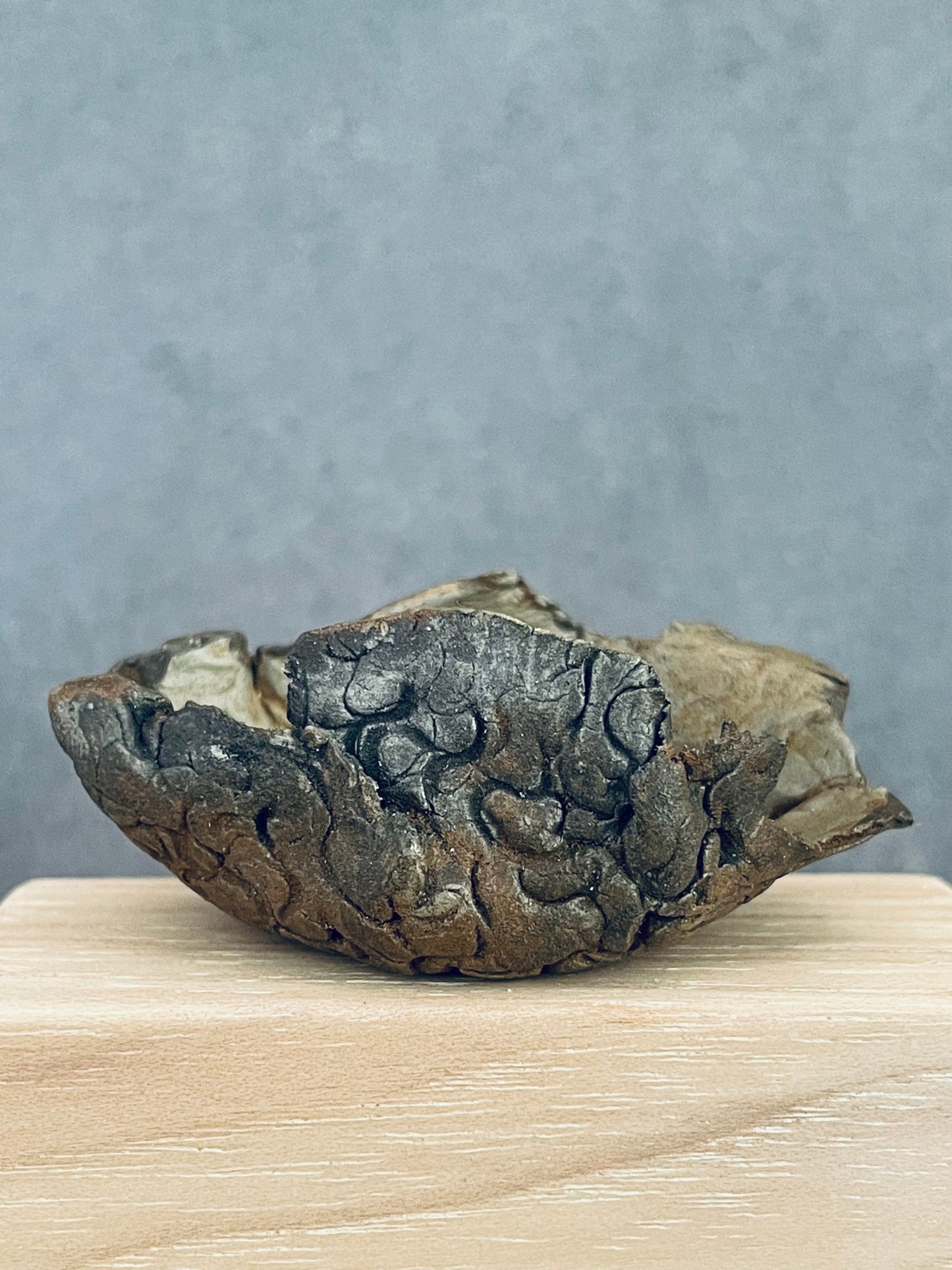 Canyon Open Bowl with Texture Detail