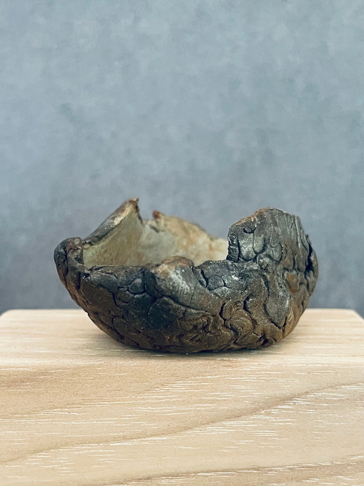 Canyon Open Bowl with Texture Detail