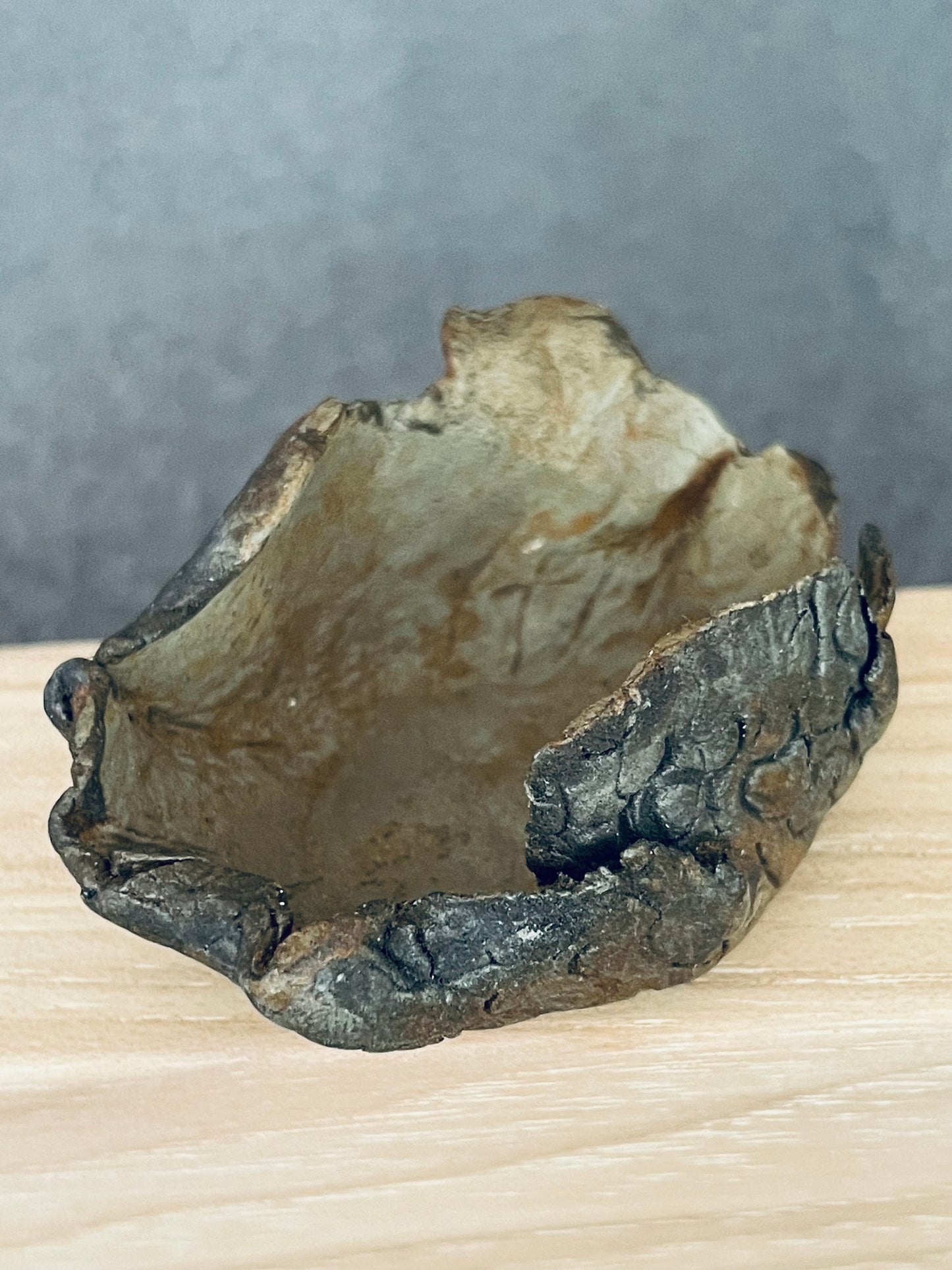 Canyon Open Bowl with Texture Detail