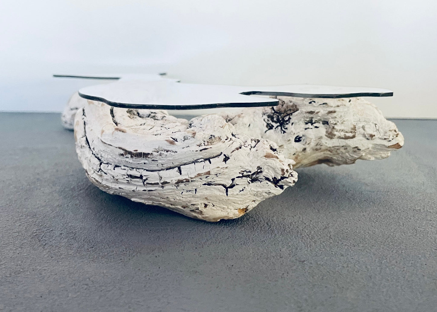 Castaway Driftwood Coffee Table