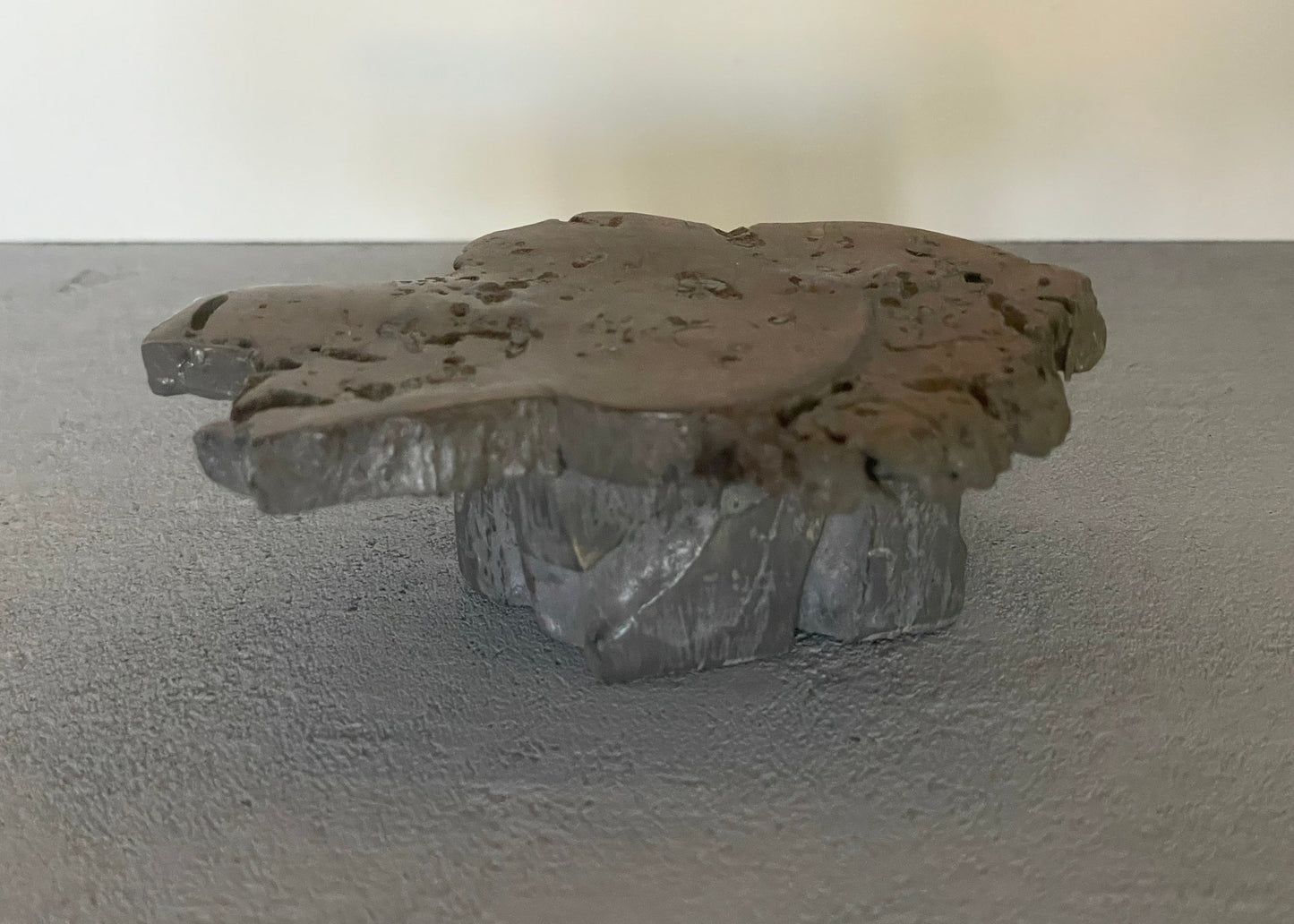 Dark Brown/Gray Driftwood Coffee Table
