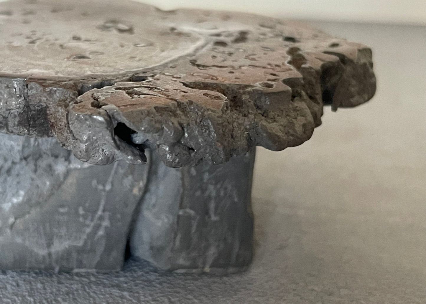Dark Brown/Gray Driftwood Coffee Table