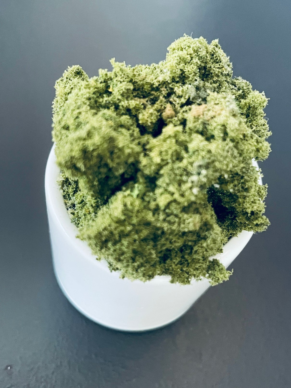 Round Ceramic Pot with Greenery