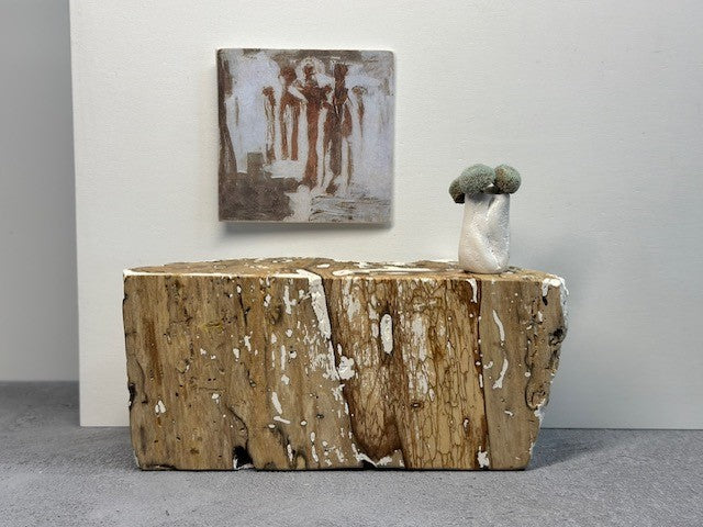 Driftwood Dreams
