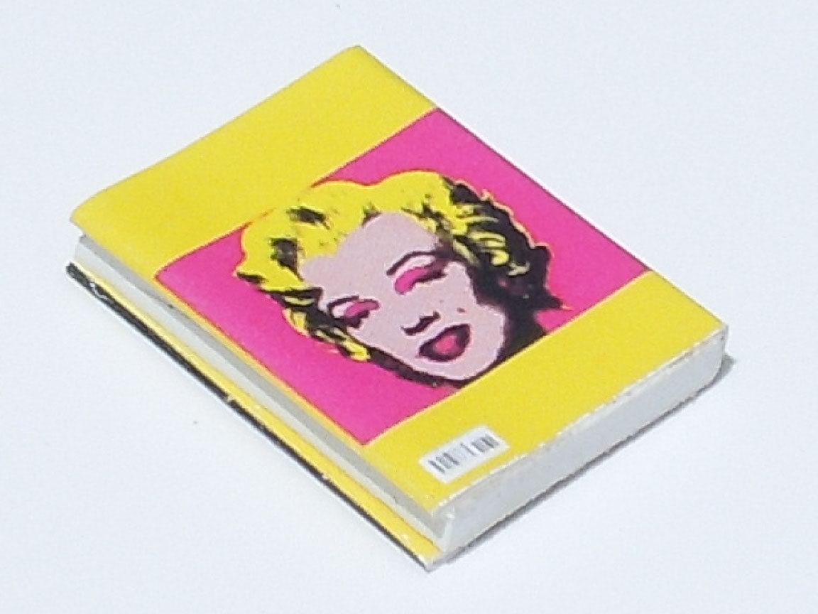 Andy Warhol Book