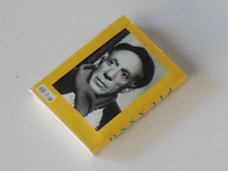 Pablo Picasso Book