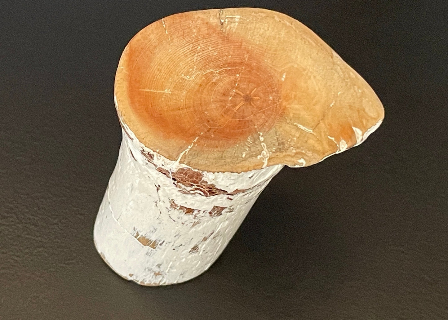 Driftwood Leaning Accent End Table
