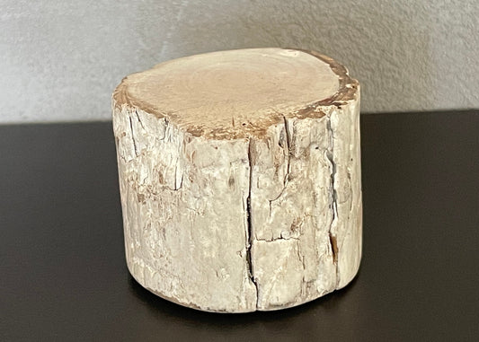 Driftwood Round Accent End Table in White Gloss Finish