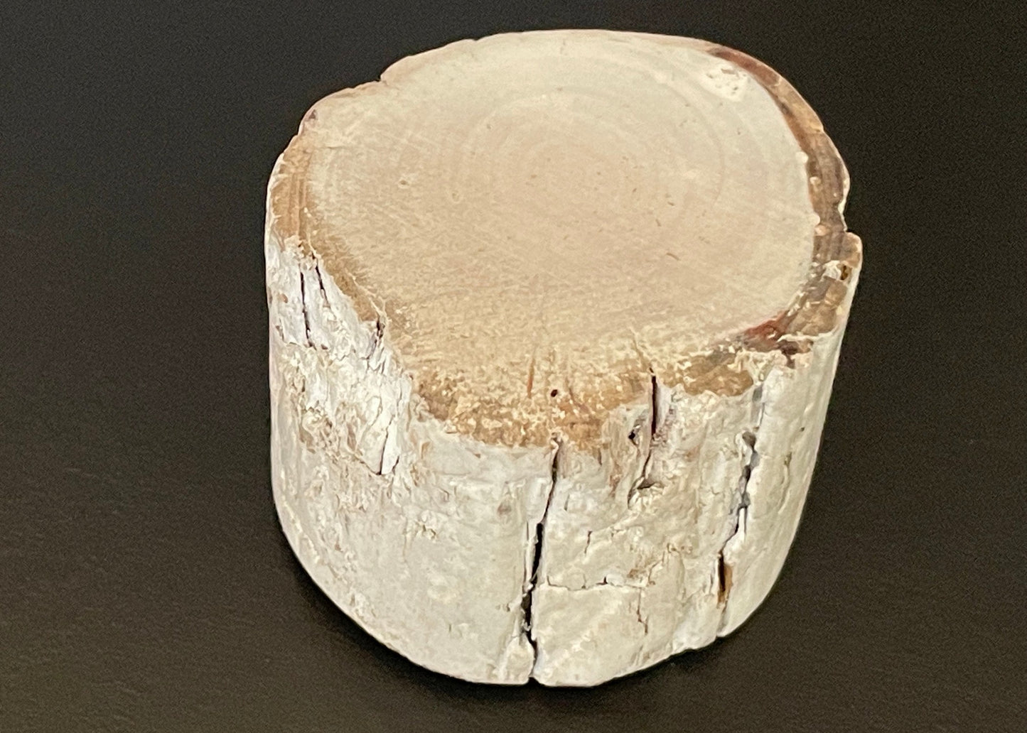 Driftwood Round Accent End Table in White Gloss Finish