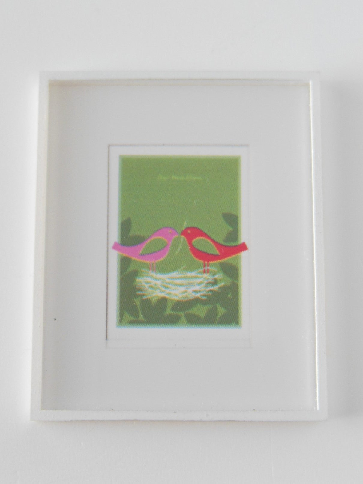 Bird Nest Print White Frame