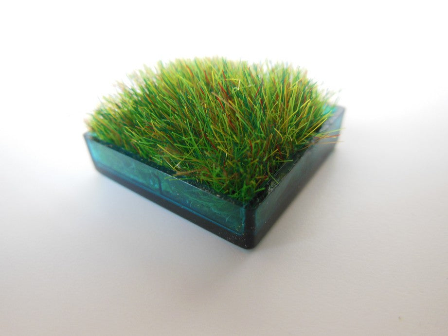 Teal Square Lucite Tray with Wheat Grass