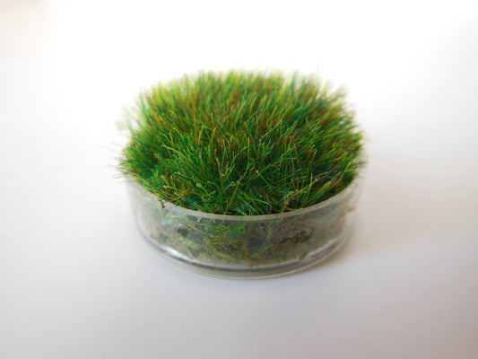 Clear Round Lucite Tray with Wheat Grass