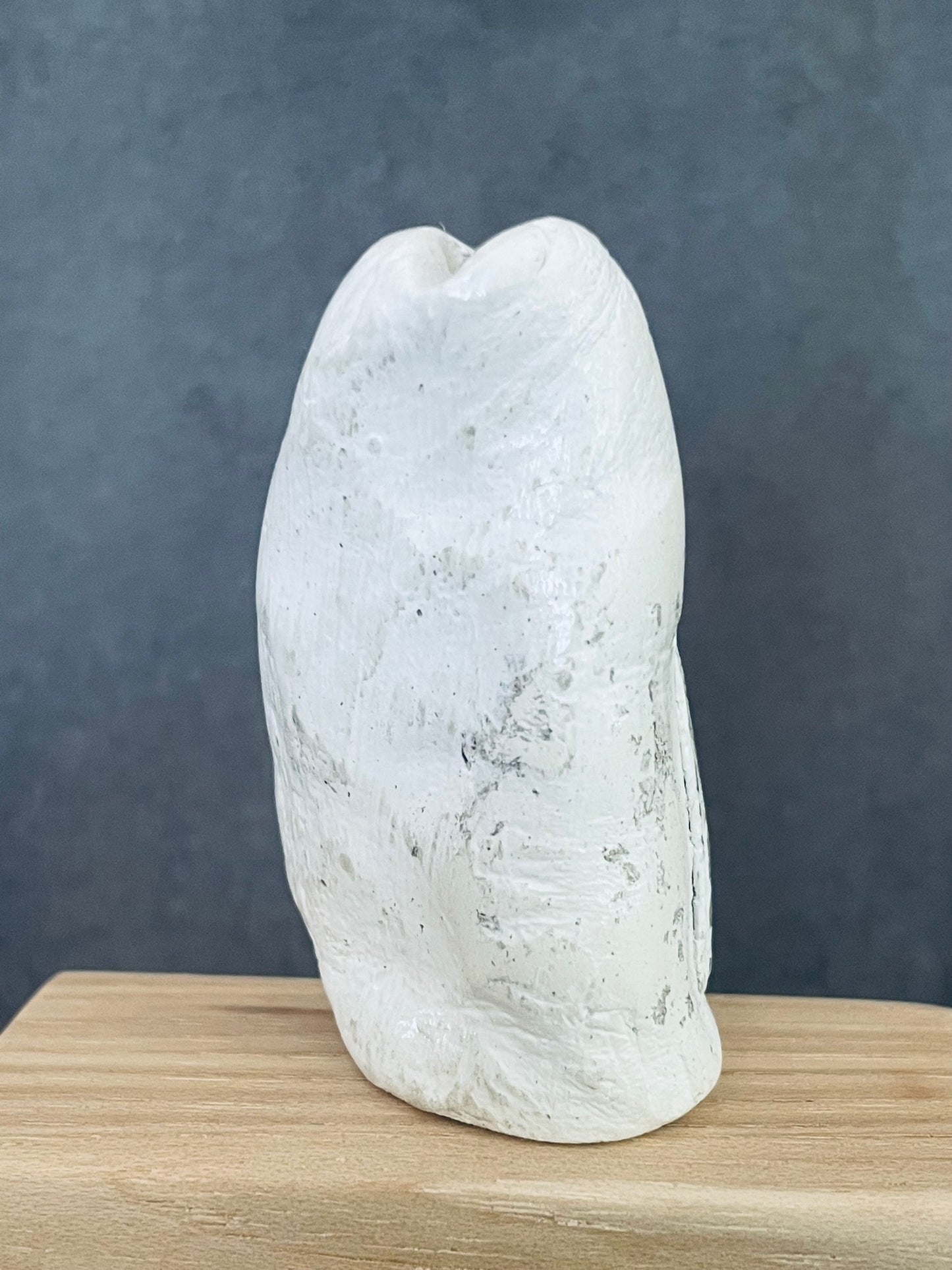 Tall White Vase with Shell Detail
