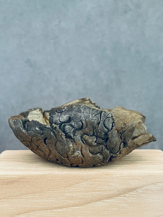 Canyon Open Bowl with Texture Detail