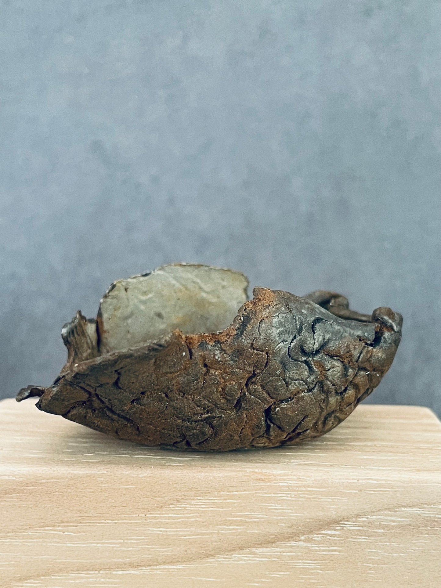 Canyon Open Bowl with Texture Detail