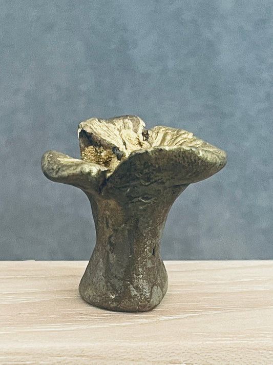 Canyon Medium Vase with Gold Detail