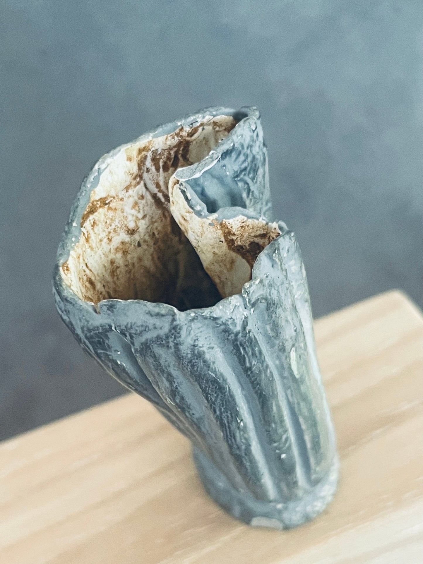 Kolos Sculpted Tall Vase