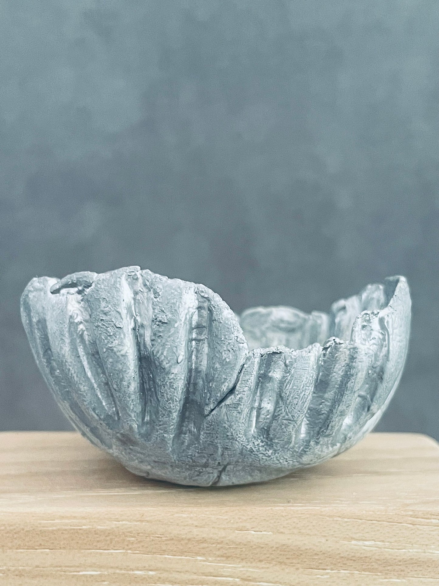 Kolos Large Silver Bowl