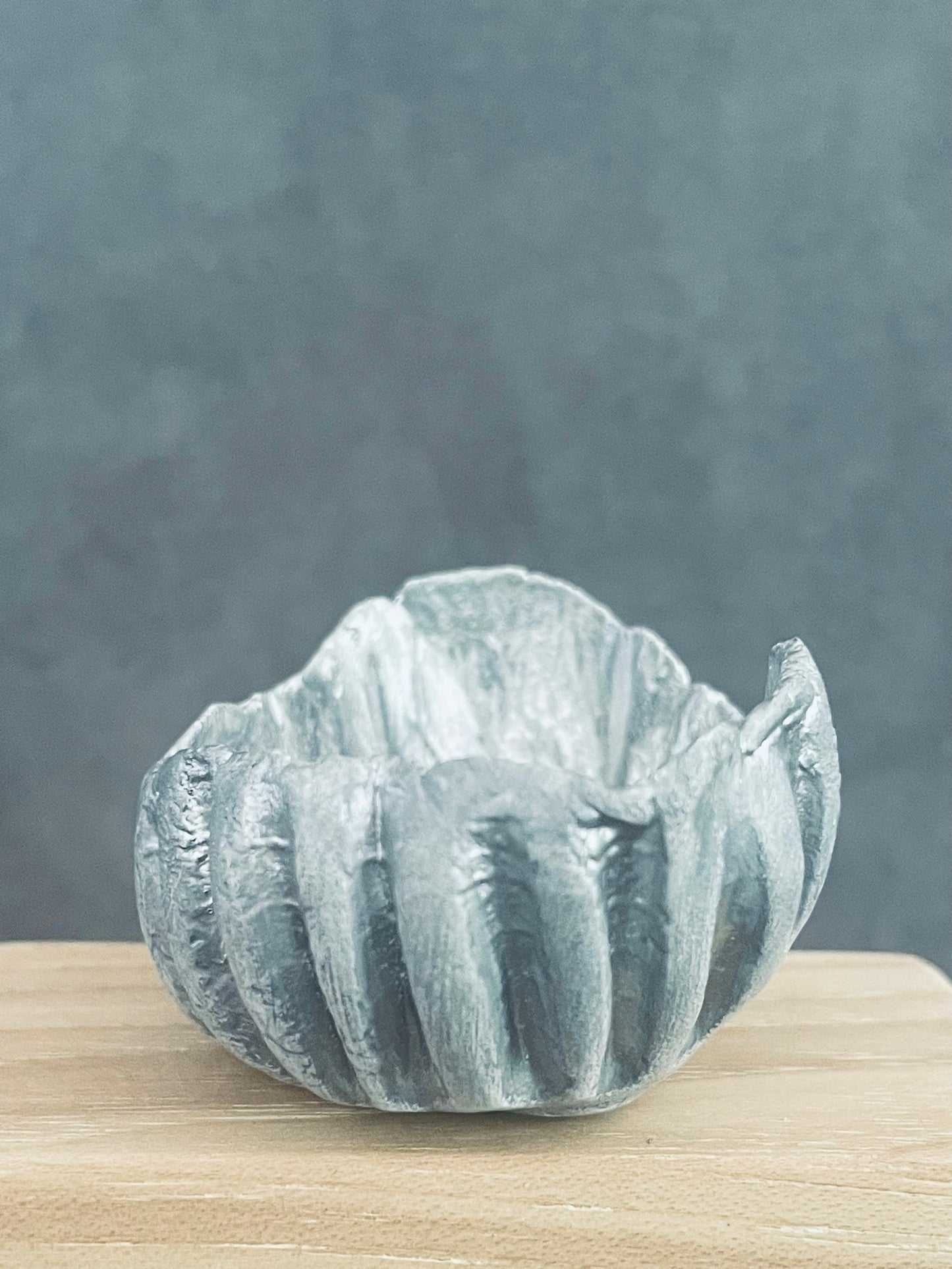 Kolos Large Silver Bowl
