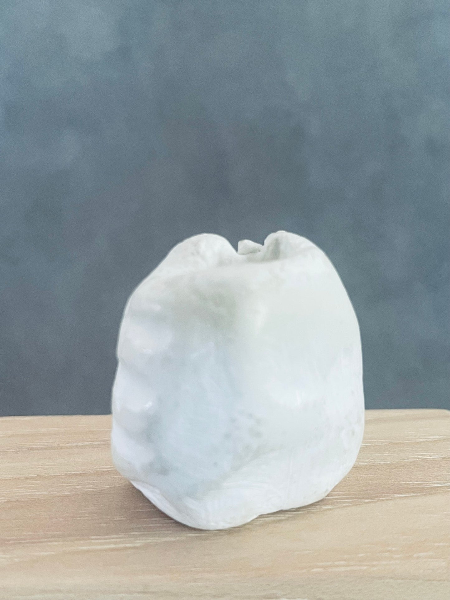 Medium White Vase with Shell Detail