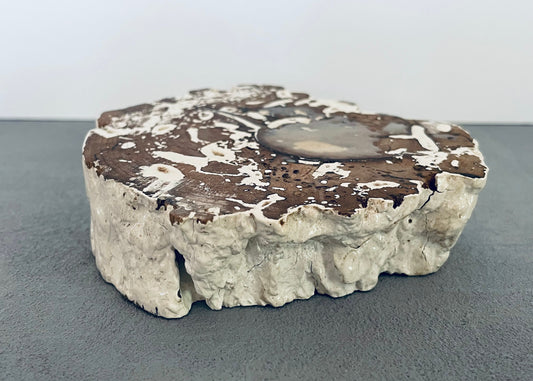 Seastrand Coffee Table Whitewash Finish and Natural Top