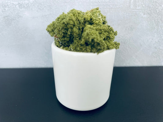 Round Ceramic Pot with Greenery