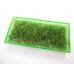 Green Rectangle Lucite Tray with Wheat Grass