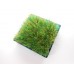 Teal Square Lucite Tray with Wheat Grass