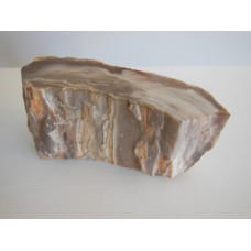 Petrified Wood Side Table